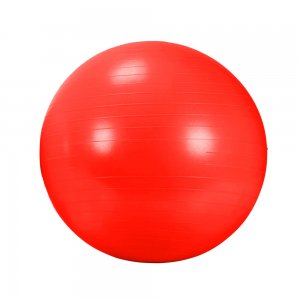AGB 434RD, Rehabilitační míč GYM BALL 55 cm