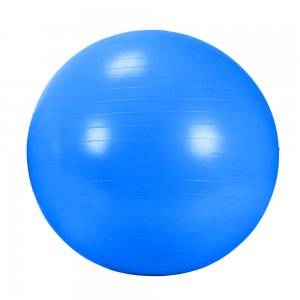 AGB 434BL, Rehabilitační míč GYM BALL 65 cm